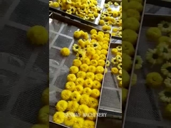 Golden chrysanthemums dried in hot air circulation oven